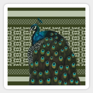 Vintage Peacock Portrait Magnet